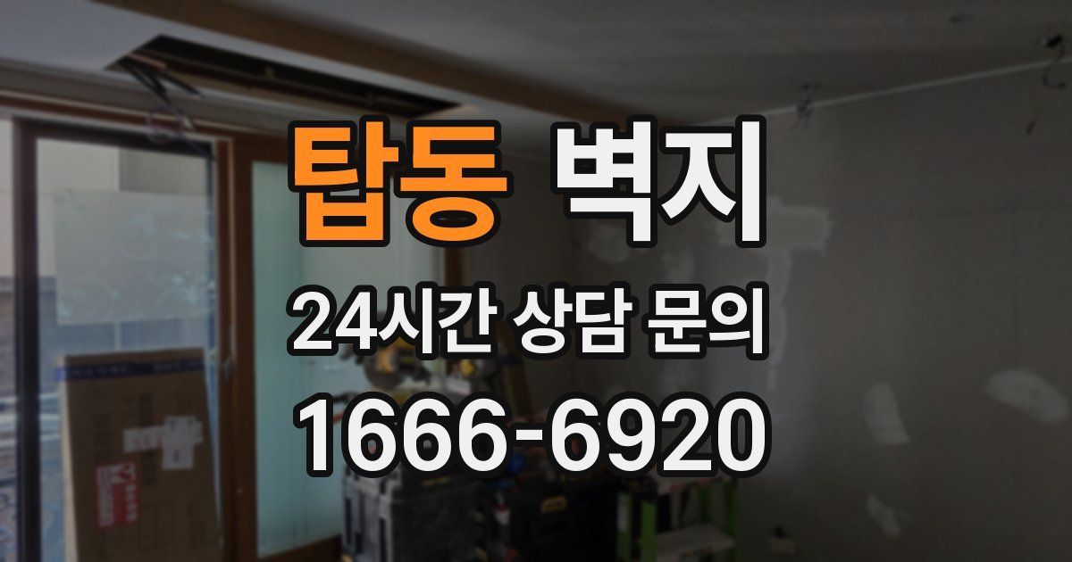 탑동 벽지