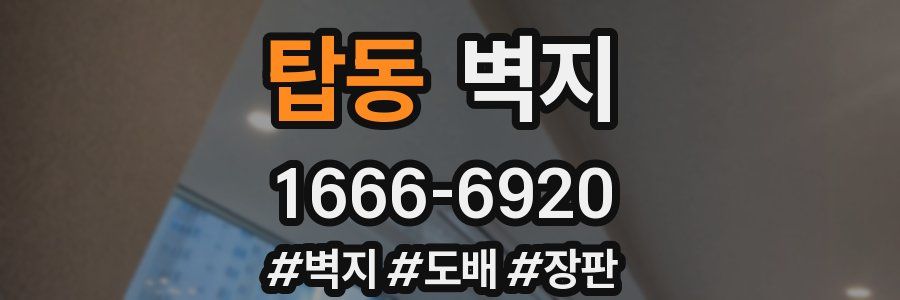 탑동 벽지