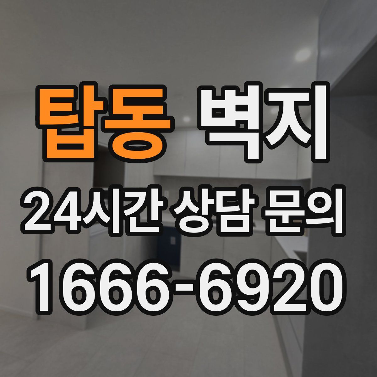 탑동 벽지