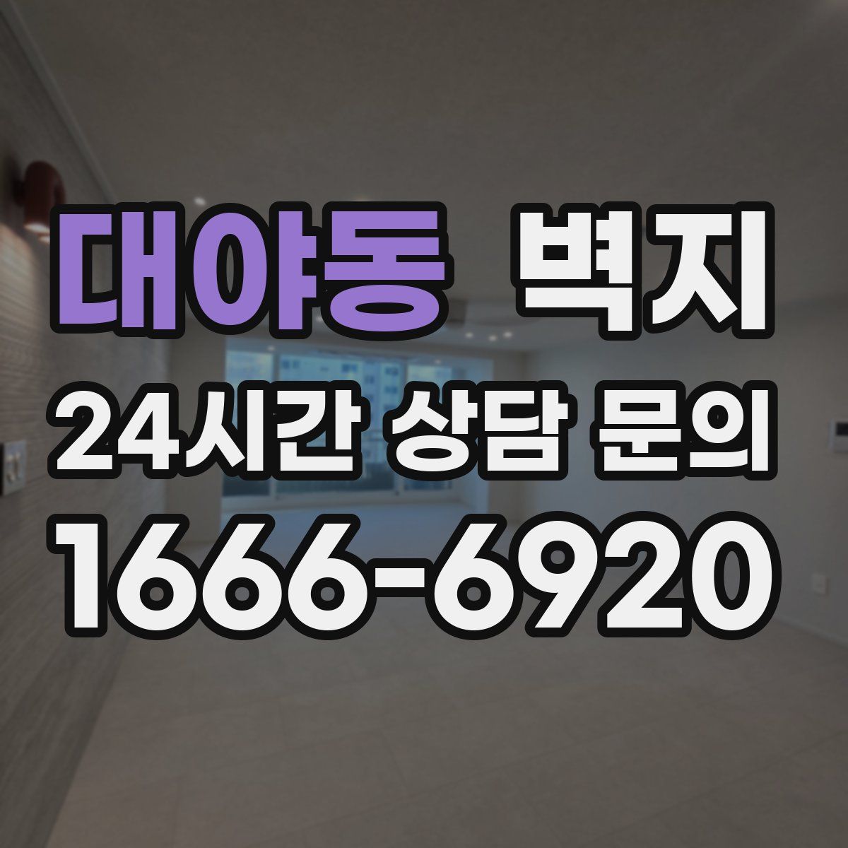 대야동 벽지