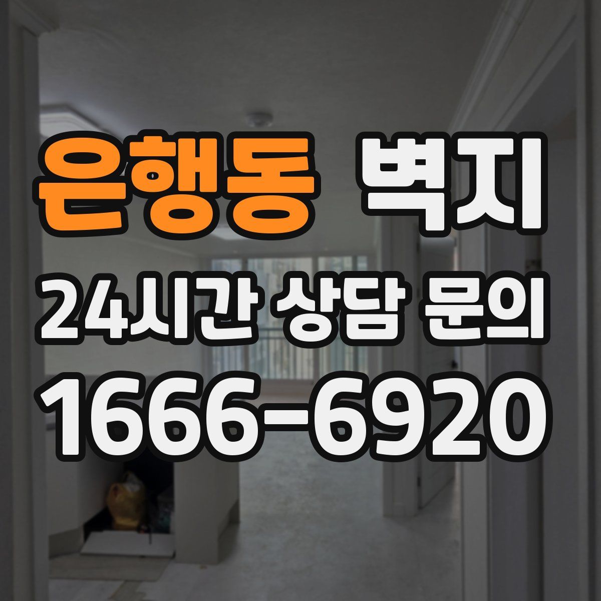은행동 벽지