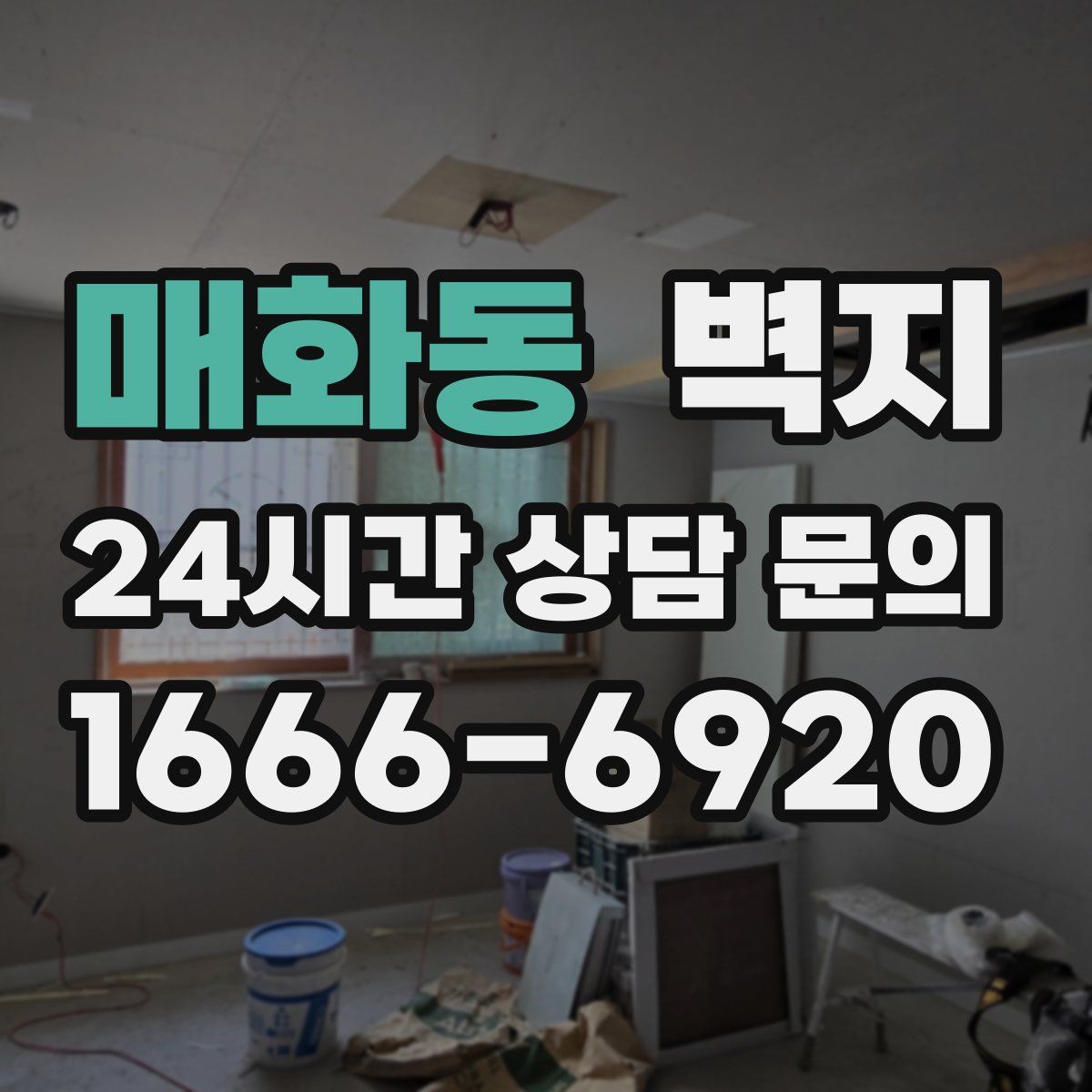 매화동 벽지