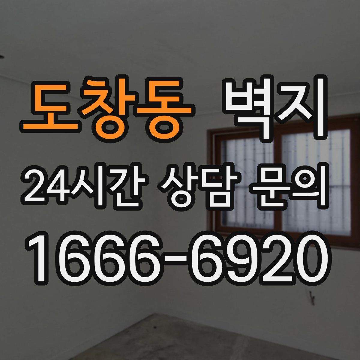 도창동 벽지