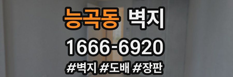능곡동 벽지