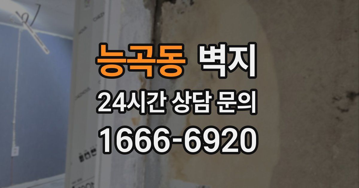 능곡동 벽지