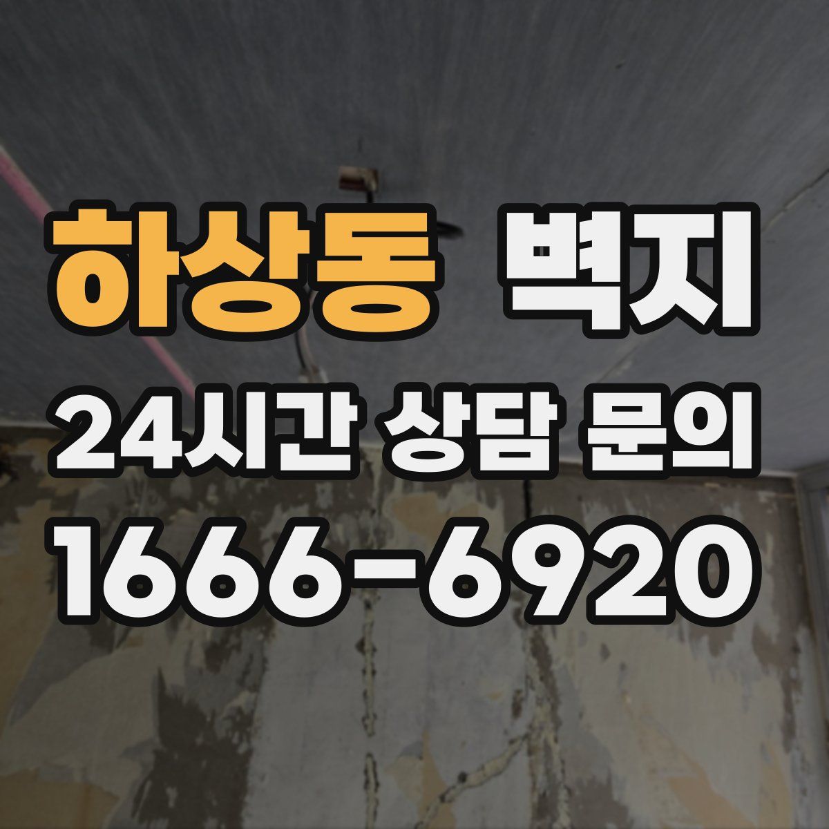 하상동 벽지