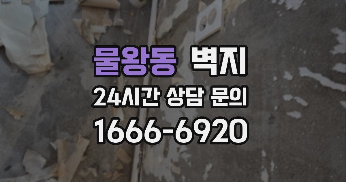 물왕동 벽지