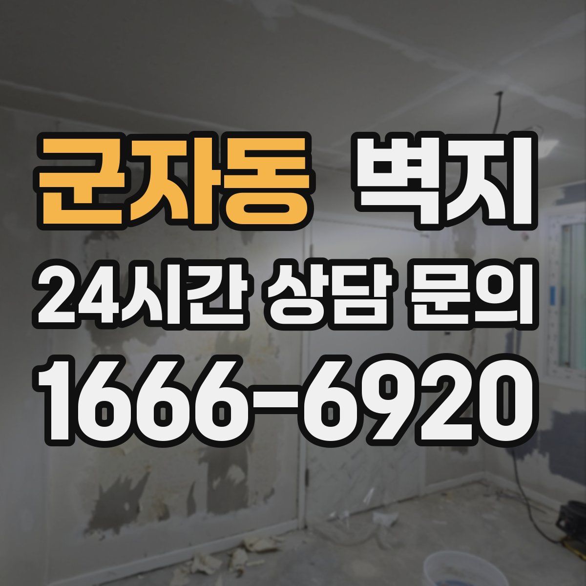 군자동 벽지