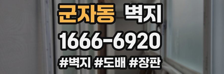 군자동 벽지