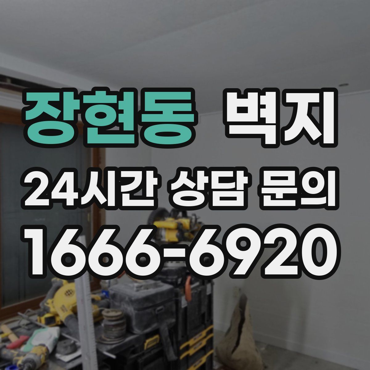 장현동 벽지