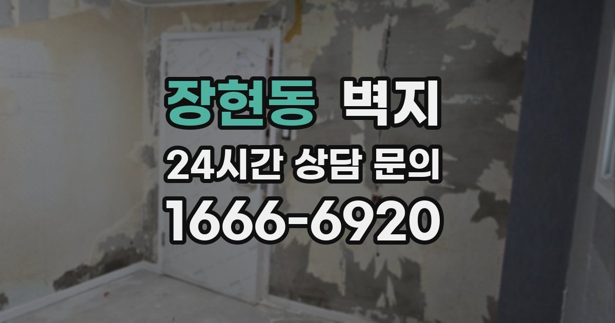 장현동 벽지
