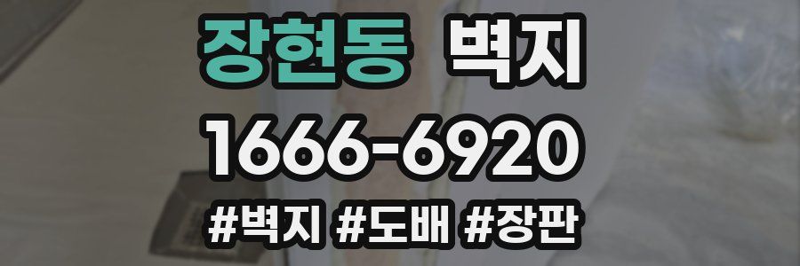 장현동 벽지