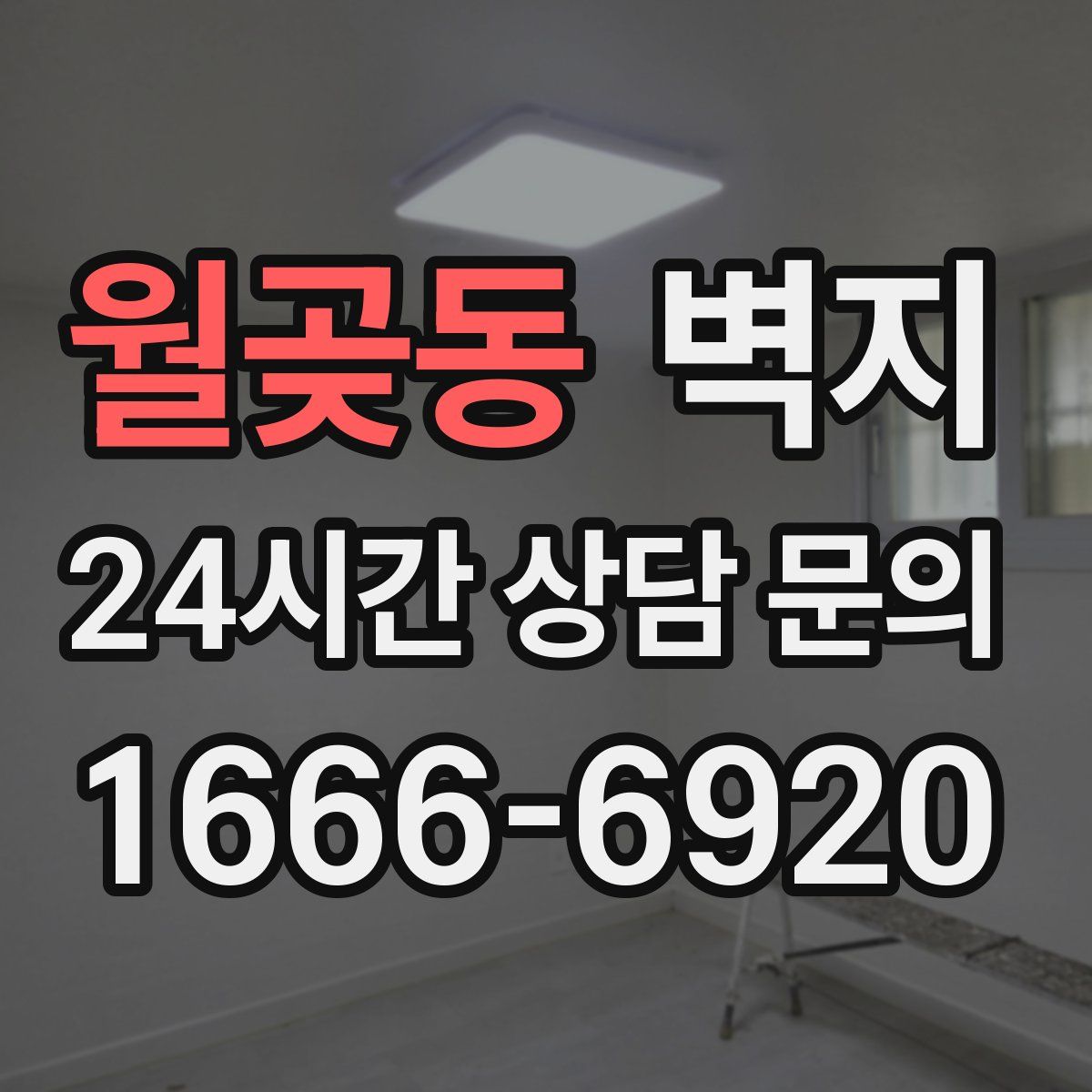 월곶동 벽지
