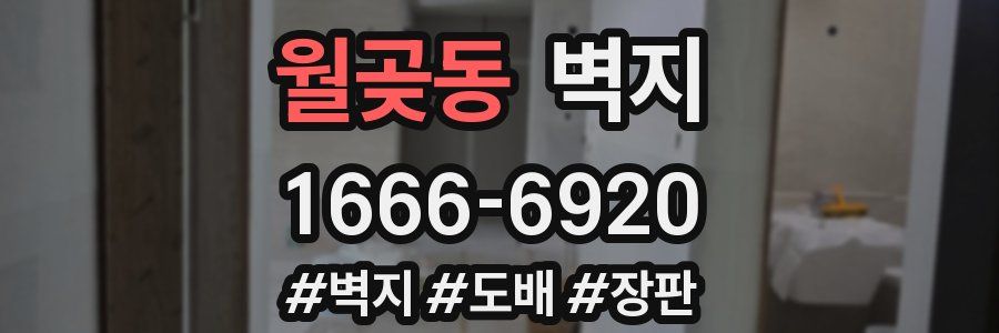 월곶동 벽지