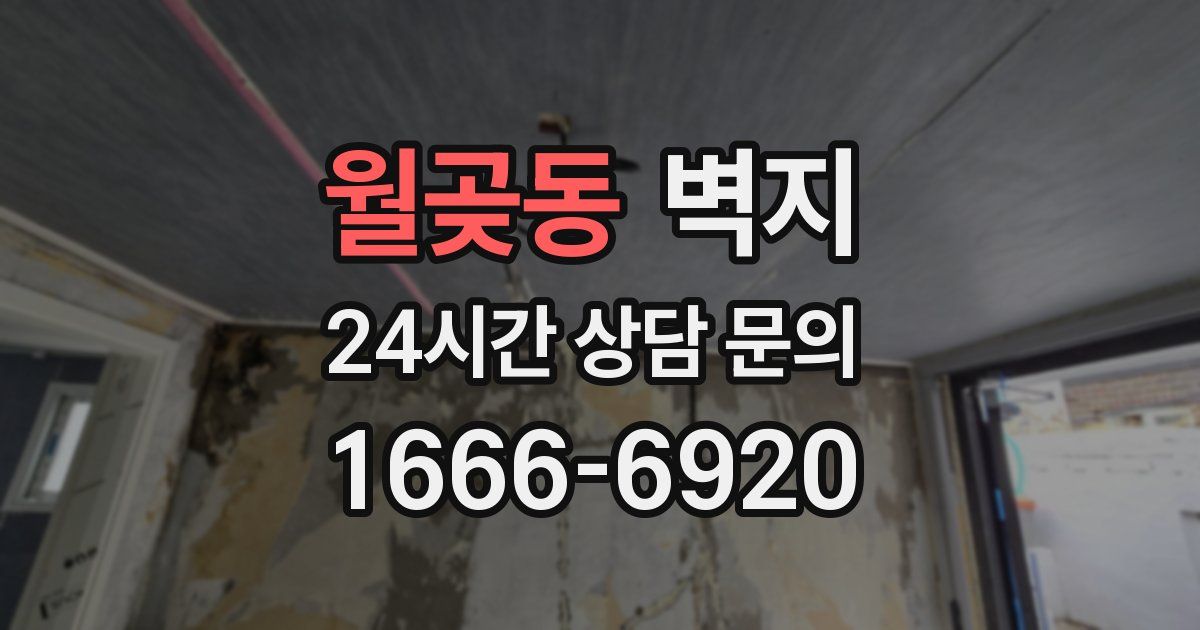월곶동 벽지