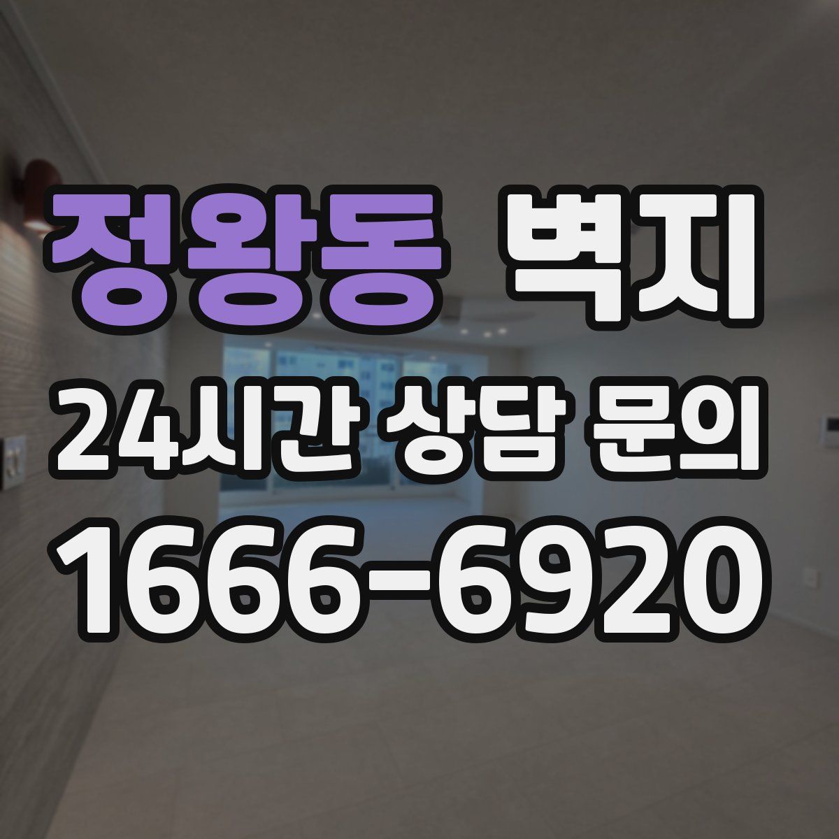 정왕동 벽지