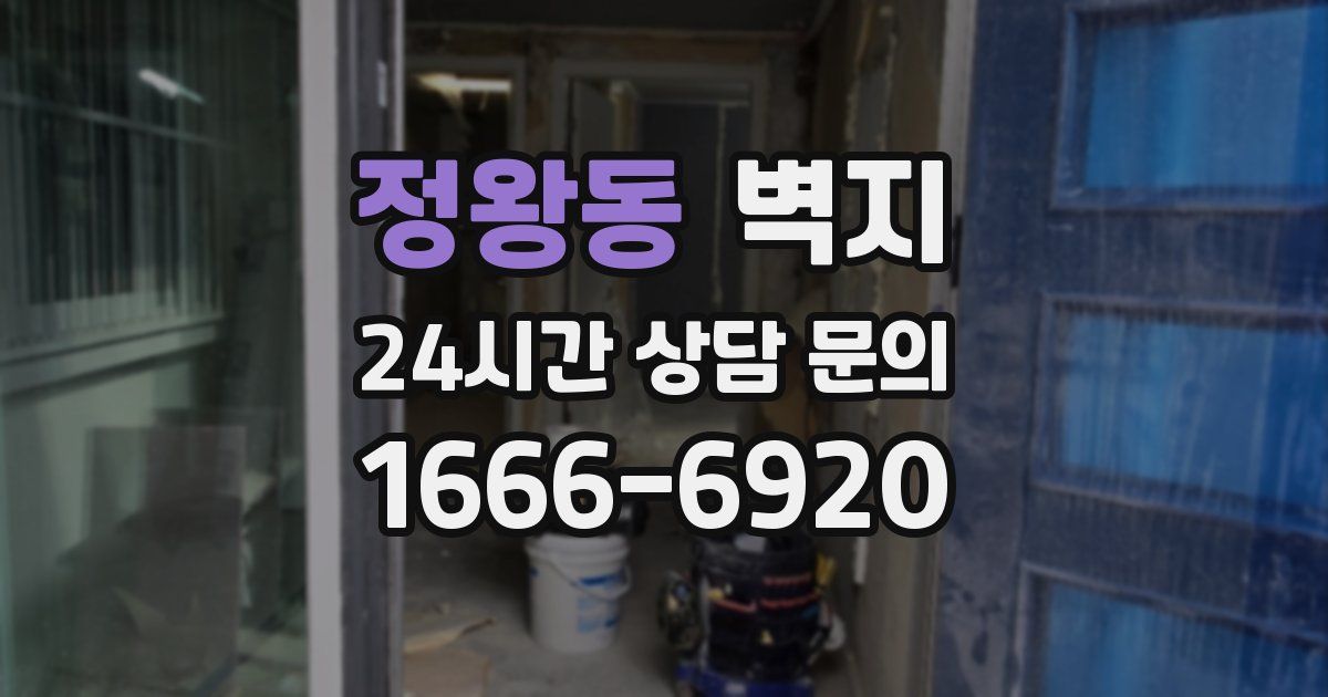 정왕동 벽지