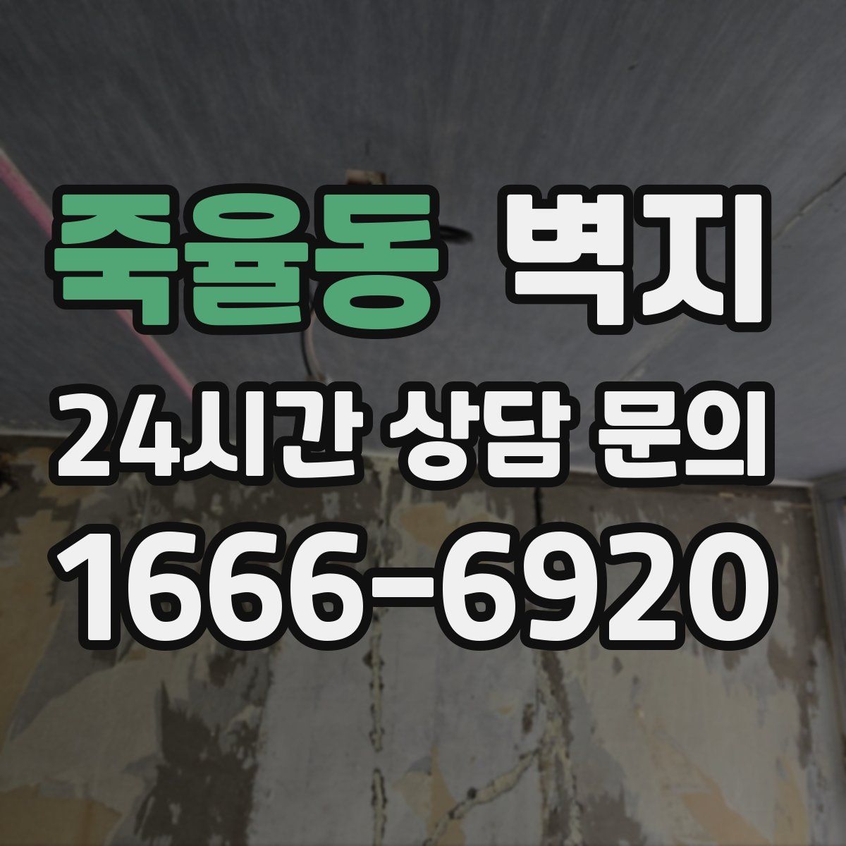 죽율동 벽지