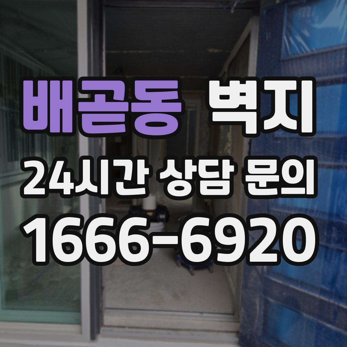 배곧동 벽지