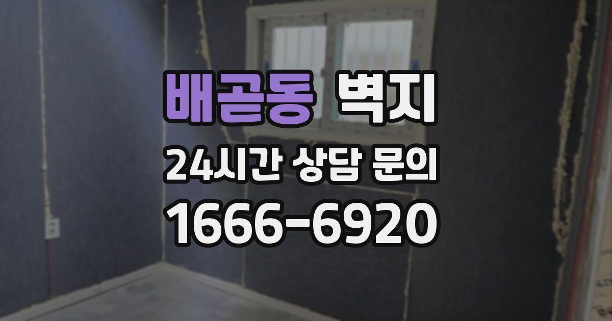 배곧동 벽지