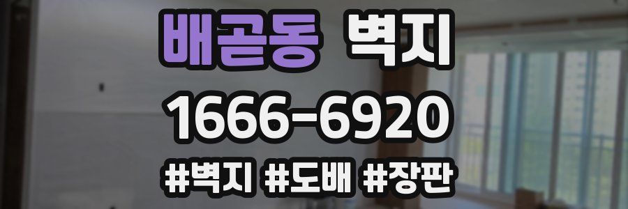 배곧동 벽지