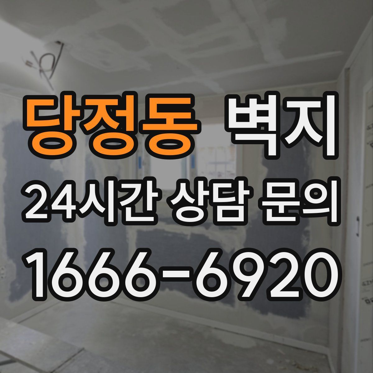 당정동 벽지