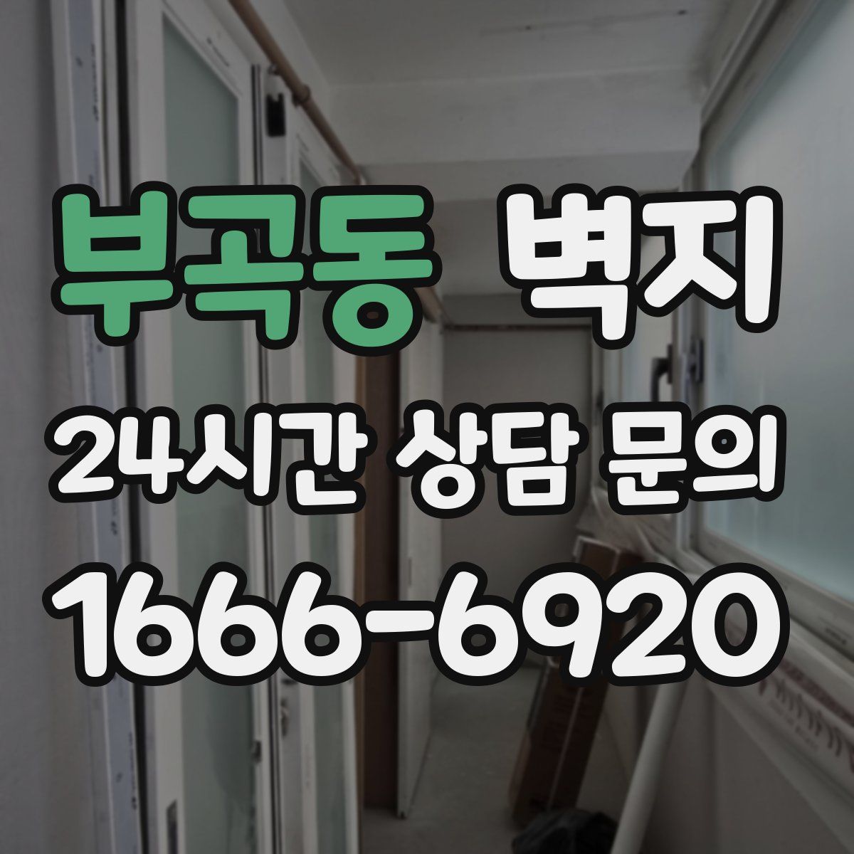 부곡동 벽지