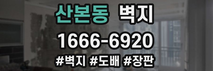 산본동 벽지