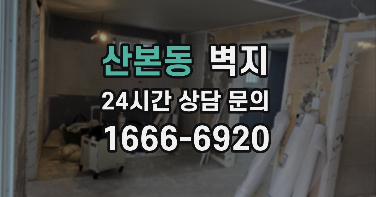 산본동 벽지