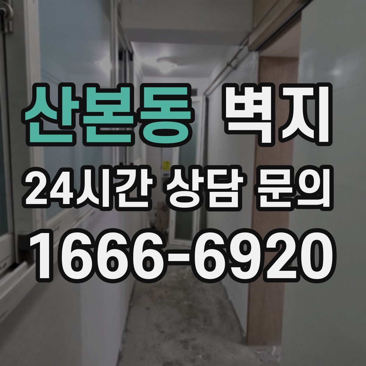 산본동 벽지