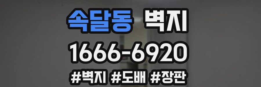 속달동 벽지