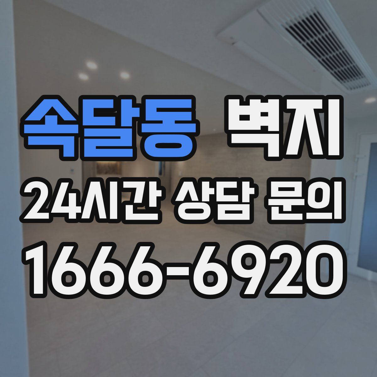 속달동 벽지