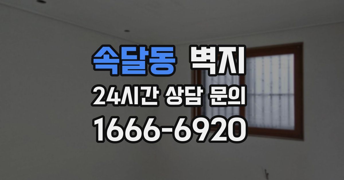 속달동 벽지
