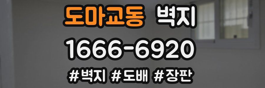 도마교동 벽지