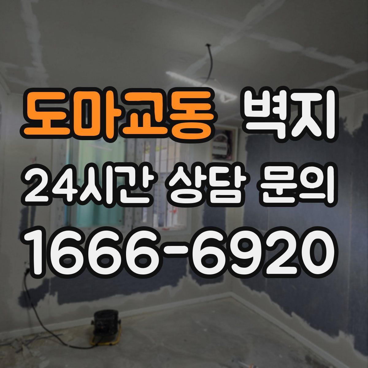 도마교동 벽지