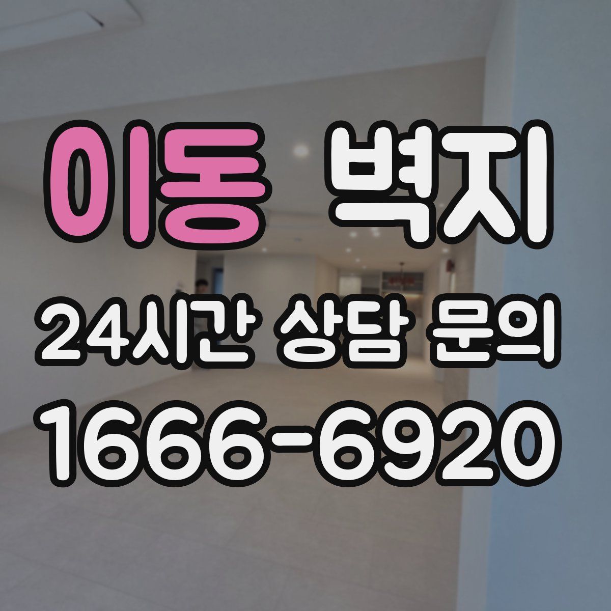 이동 벽지