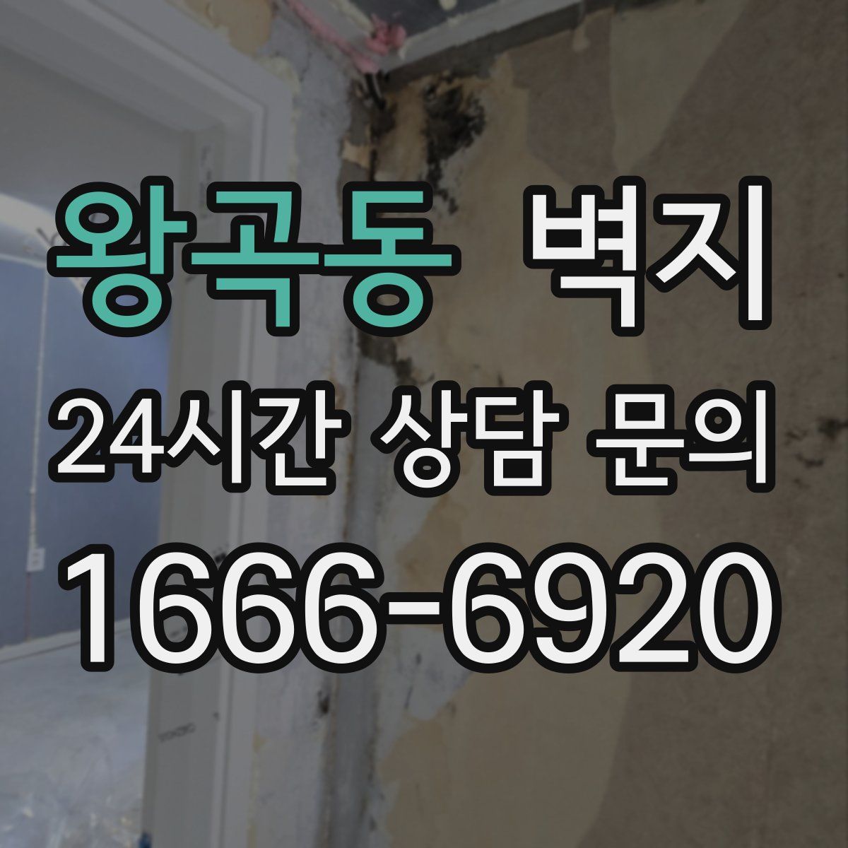 왕곡동 벽지