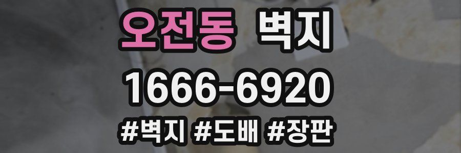 오전동 벽지