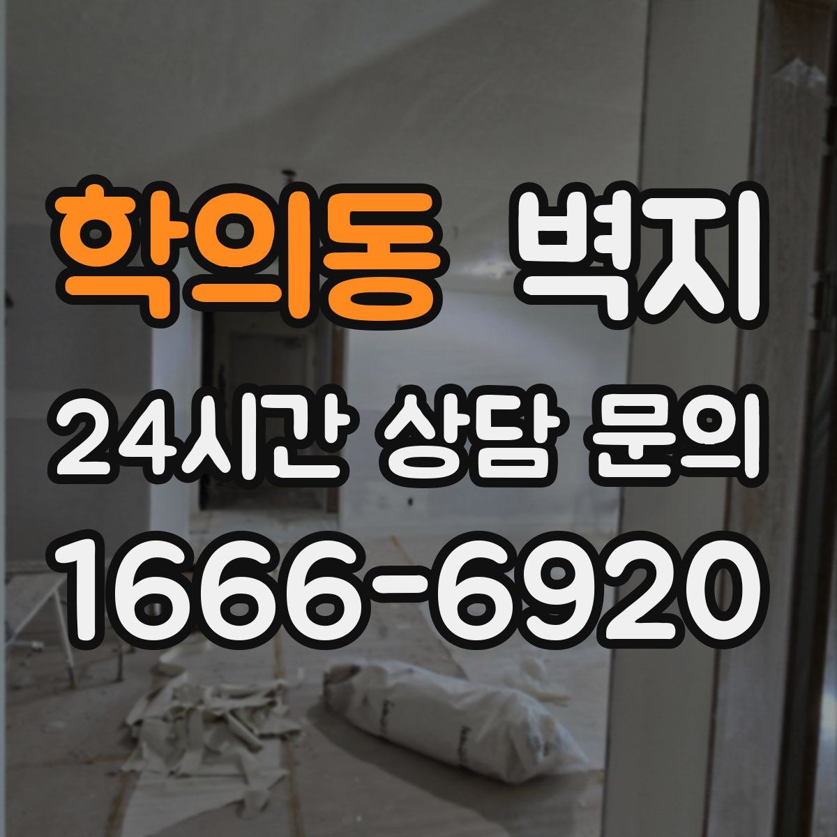 학의동 벽지