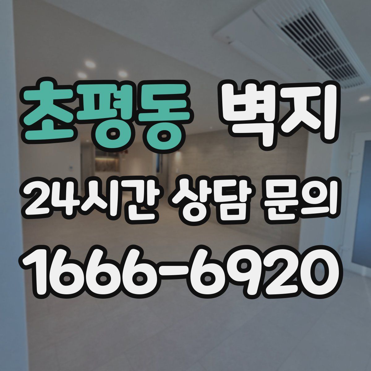 초평동 벽지