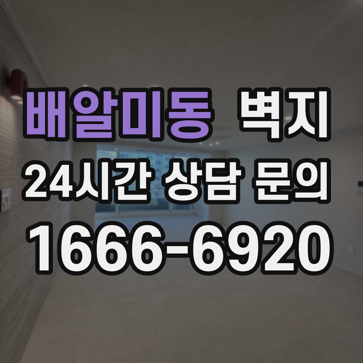 배알미동 벽지