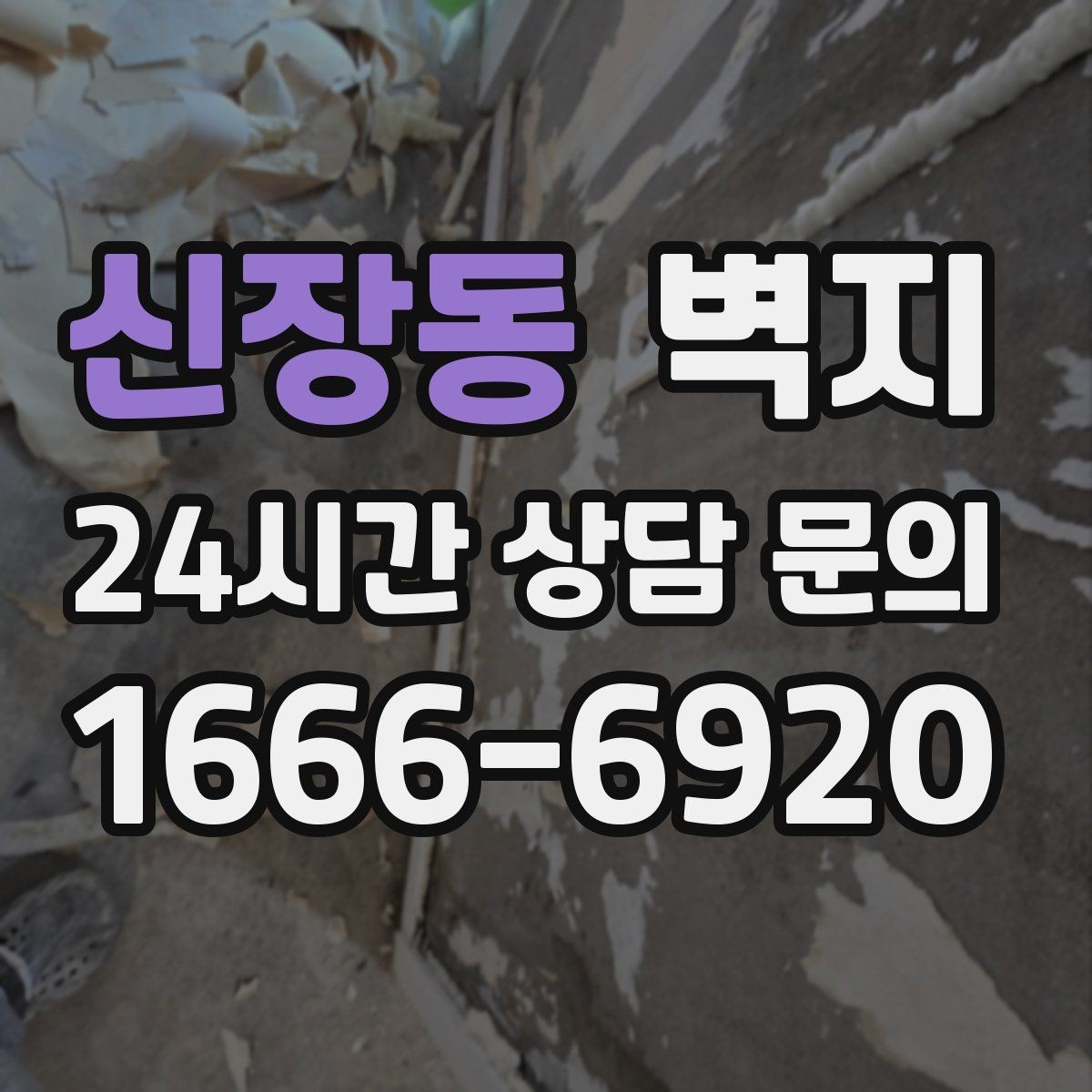 신장동 벽지 마감과 내구성을 함께 보는 이유