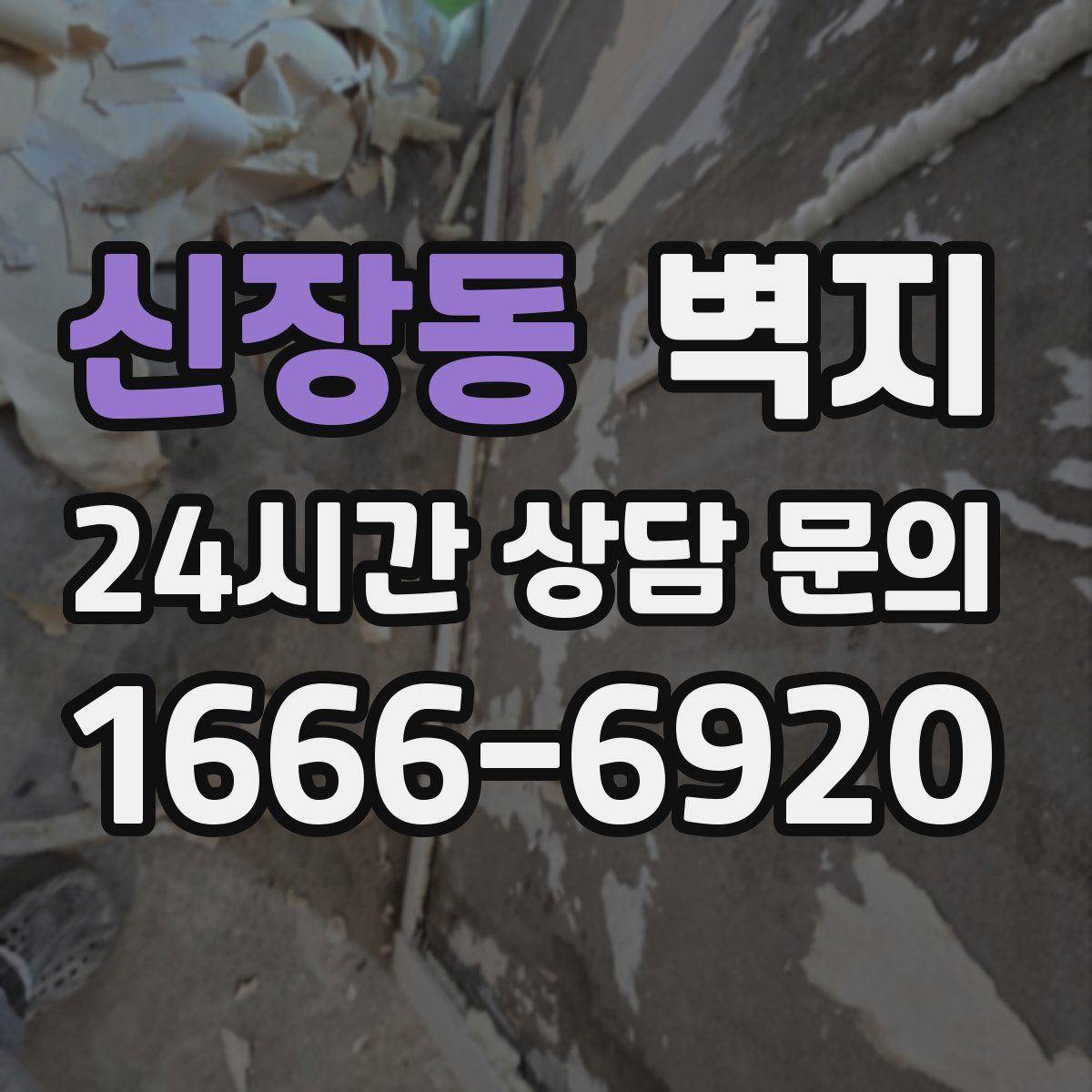 신장동 벽지
