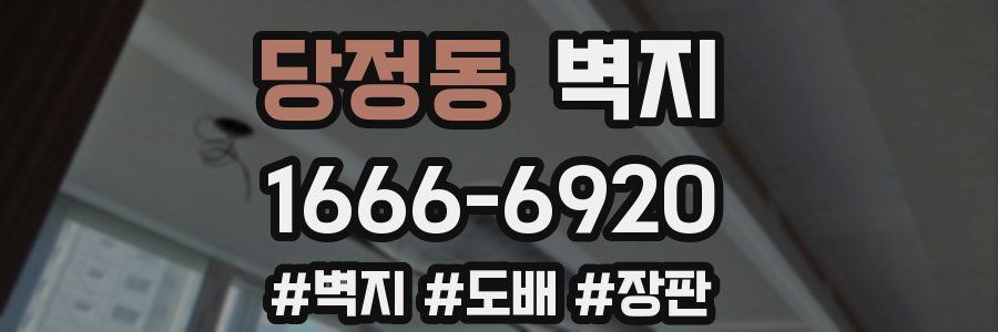 당정동 벽지