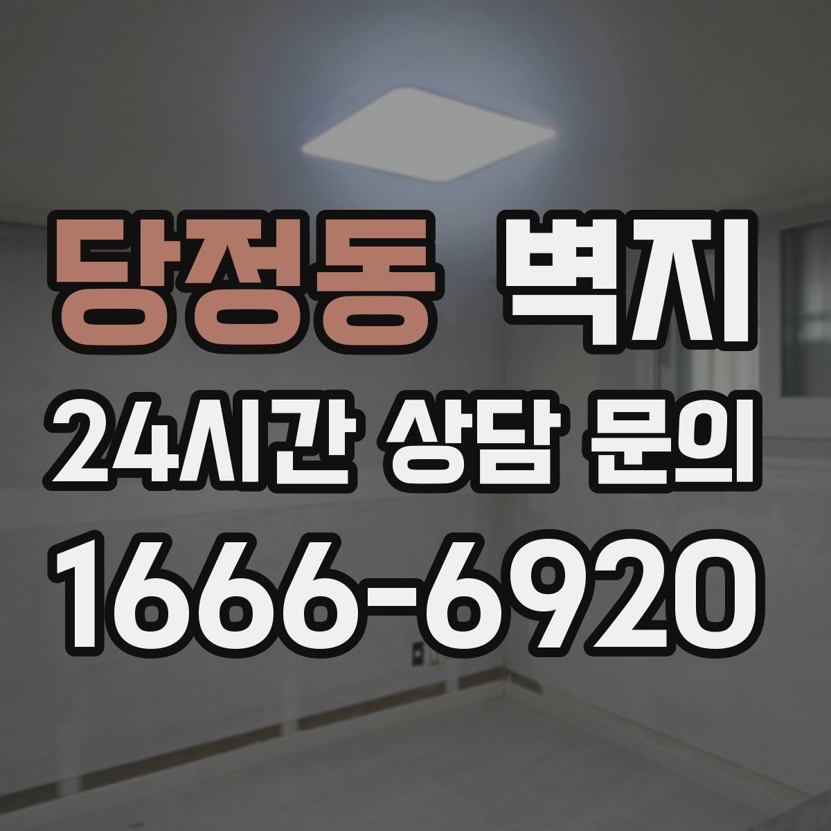 당정동 벽지