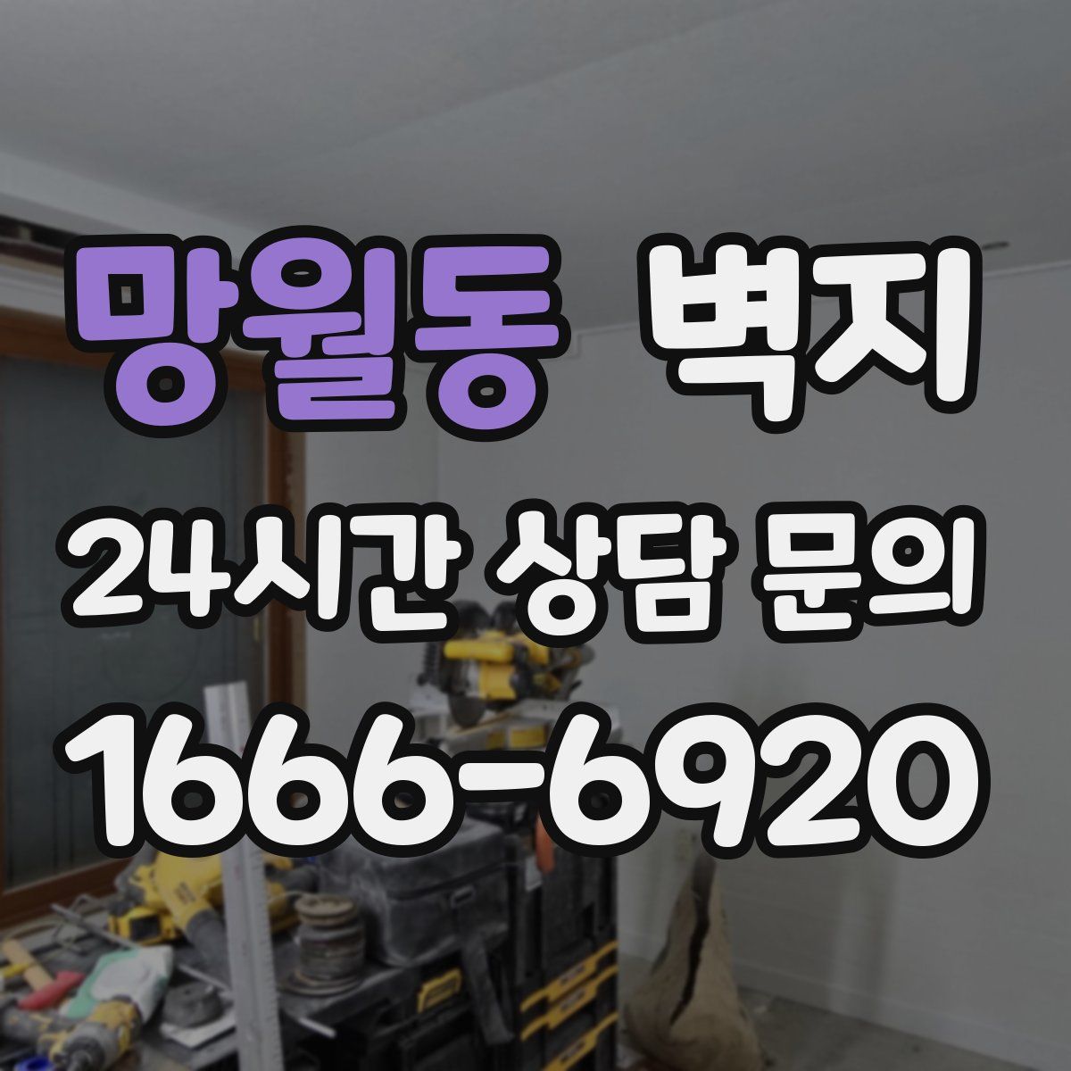 망월동 벽지