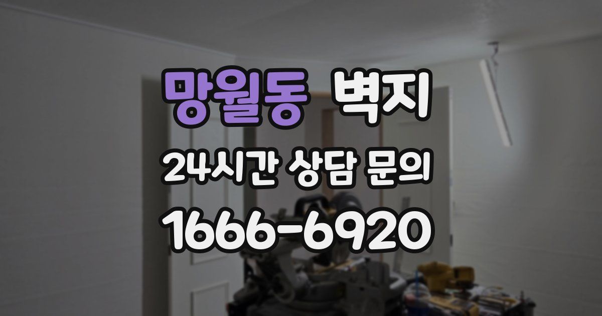 망월동 벽지