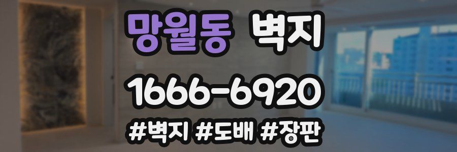 망월동 벽지