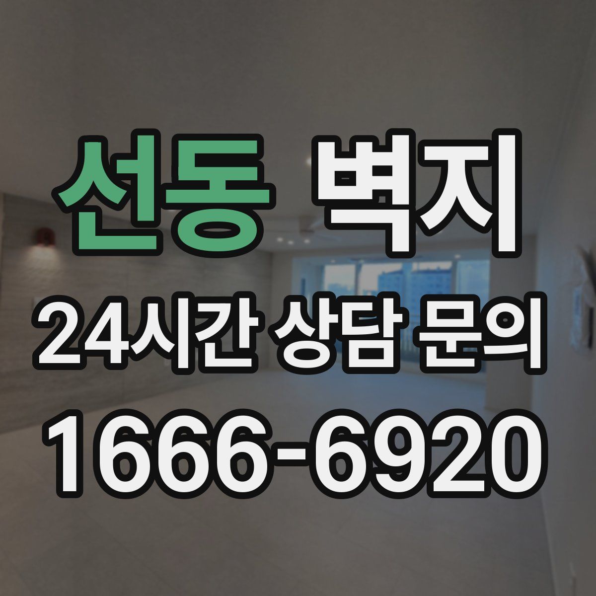 선동 벽지