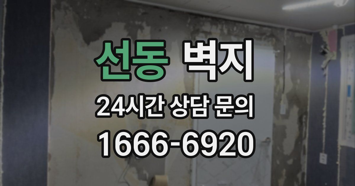 선동 벽지